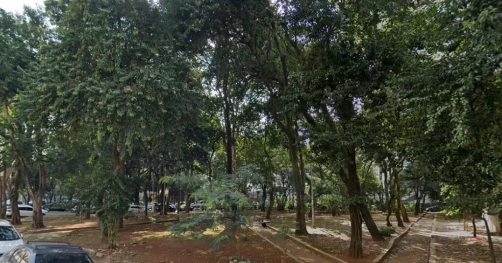 Árvore cai na Zona Leste e fere duas pessoas em São Paulo