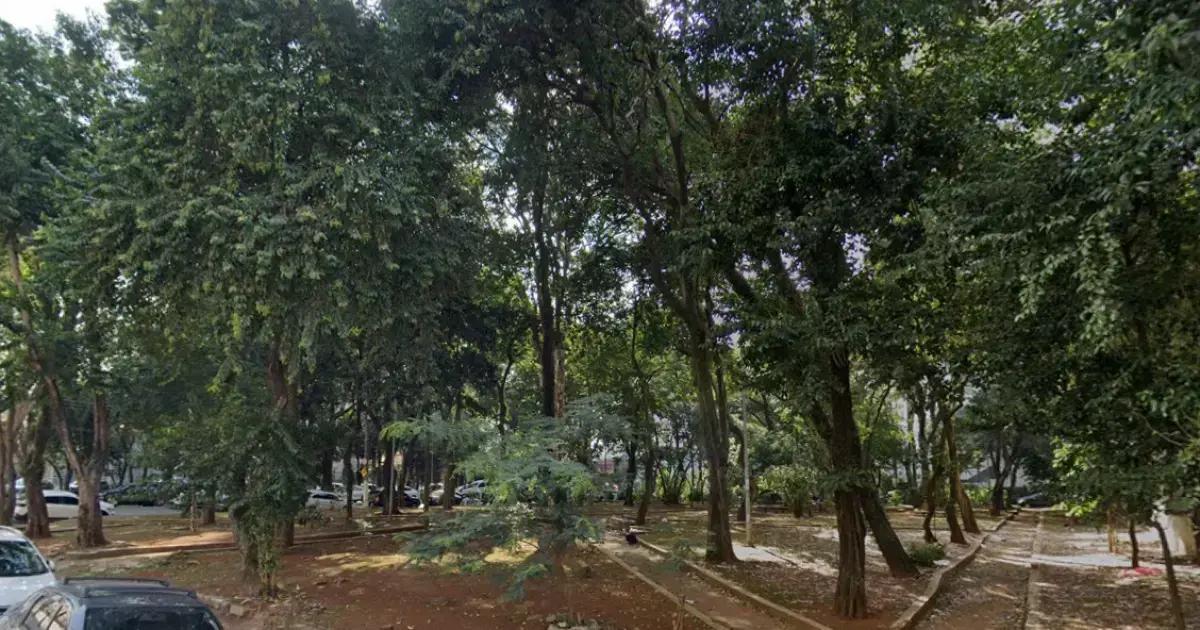 Árvore cai na Zona Leste e fere duas pessoas em São Paulo