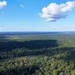 Aumento de 51% em julgamentos de ações ambientais nos últimos quatro anos