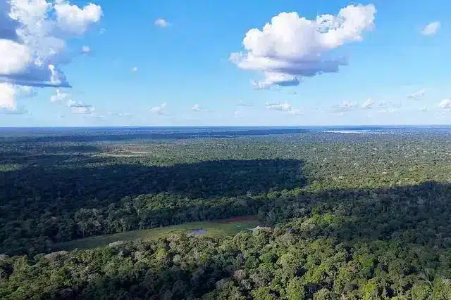 Aumento de 51% em julgamentos de ações ambientais nos últimos quatro anos
