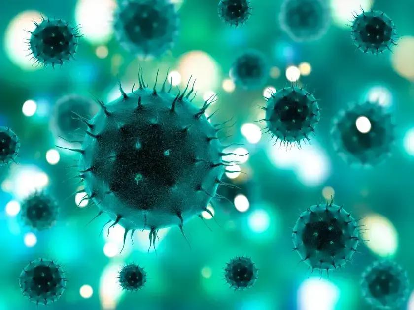 Brasil adere ao Tratado de Budapeste sobre patentes de microrganismos
