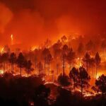 Câmara dos Deputados aprova aumento de penas por incêndios em florestas