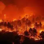 Câmara dos Deputados aprova aumento de penas por incêndios em florestas