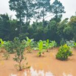 Enchentes no RS: Justiça Prorroga Prazo para Pagamento de Crédito Rural