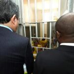 Novo modelo de inspeções prisionais com temas mensais no Brasil