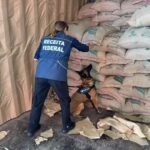 Receita Federal apreende cocaína em sacas de café no Porto do Rio