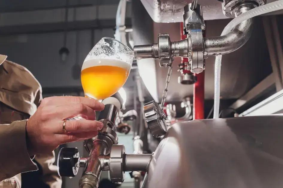 Crea não pode exigir registro de cervejas artesanais em SP