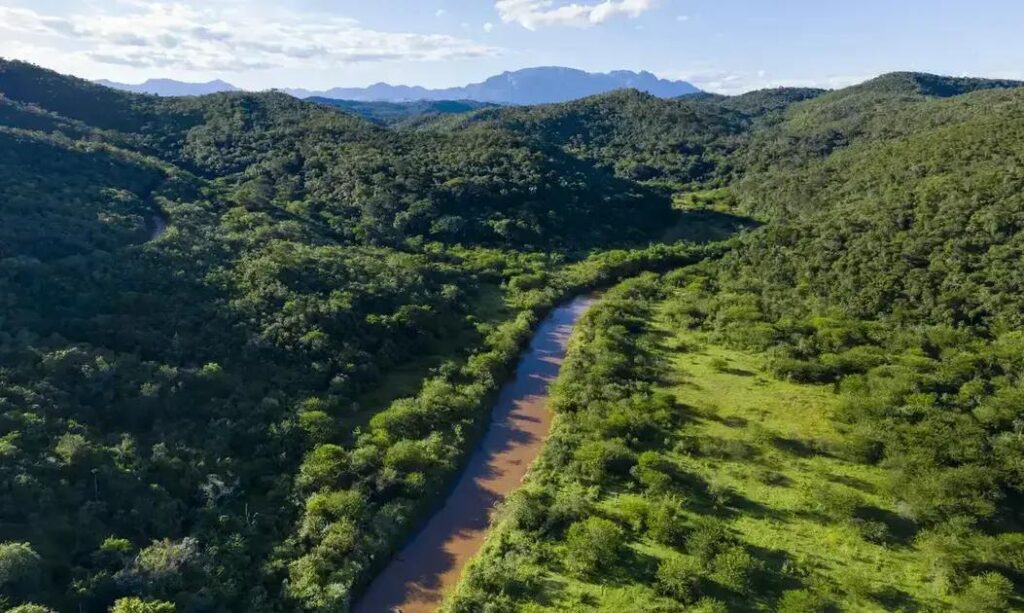 Homem é responsabilizado por recuperar dano ambiental em São Paulo