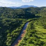 Homem é responsabilizado por recuperar dano ambiental em São Paulo