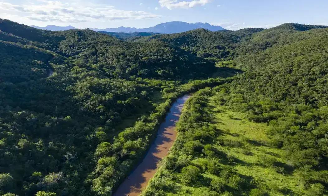 Homem é responsabilizado por recuperar dano ambiental em São Paulo
