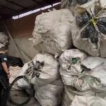 Operação no Complexo da Pedreira desarticula ferro-velho clandestino