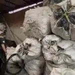 Operação no Complexo da Pedreira desarticula ferro-velho clandestino