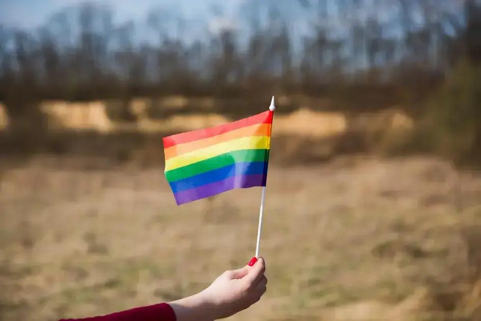 Organizações LGBTQIAPN+ contestam lei em ES que limita ensino sobre gênero