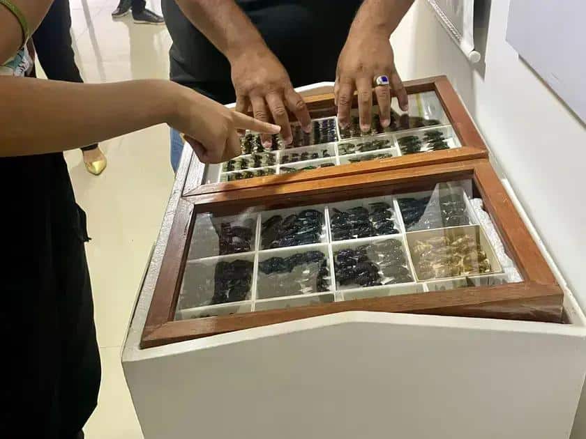 Tribunal de Justiça promove intercâmbio cultural para jovens em Roraima