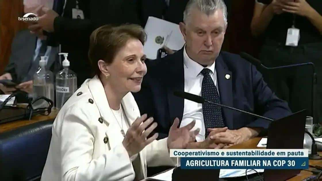 Agricultura familiar: um pilar para a sustentabilidade e renda no Brasil