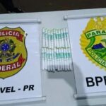 Apreensão de medicamentos em ação da Polícia Federal em Cascavel/PR
