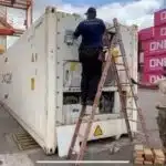 Polícia Federal apreende 30 kg de cocaína no porto de Barcarena, PA