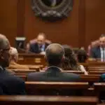 Artigo 29 da Lei Maria da Penha3 A Importância da Equipe Multidisciplinar no Combate à Violência Doméstica